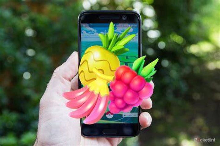 What is roasted berries pokemon go