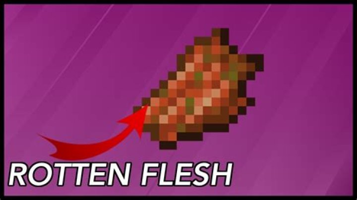 What is rotten flesh used for in minecraft