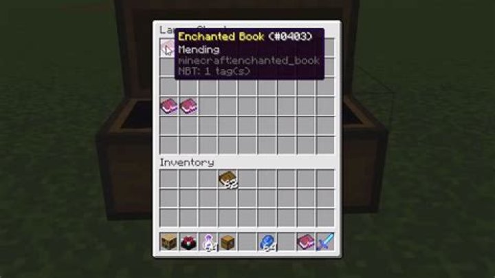What is the best enchanted book in minecraft