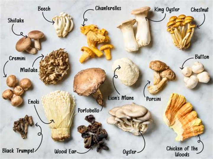 What is the black mushroom for in diablo 3