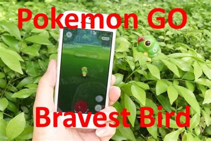 What is the bravest bird event pokemon go