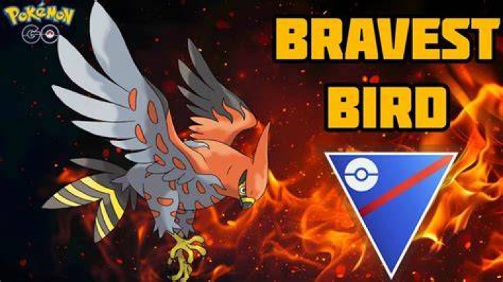 What is the bravest bird pokemon go