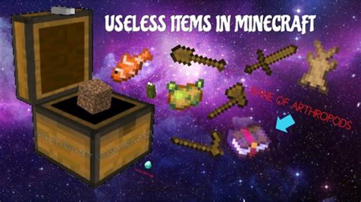 What is the most useless item in minecraft