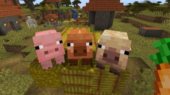What is the new update for minecraft pe
