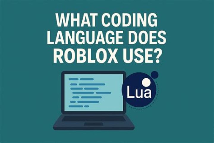 What is the official programming language in roblox