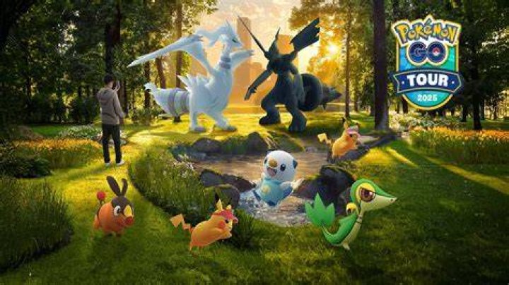 What is the pokemon go