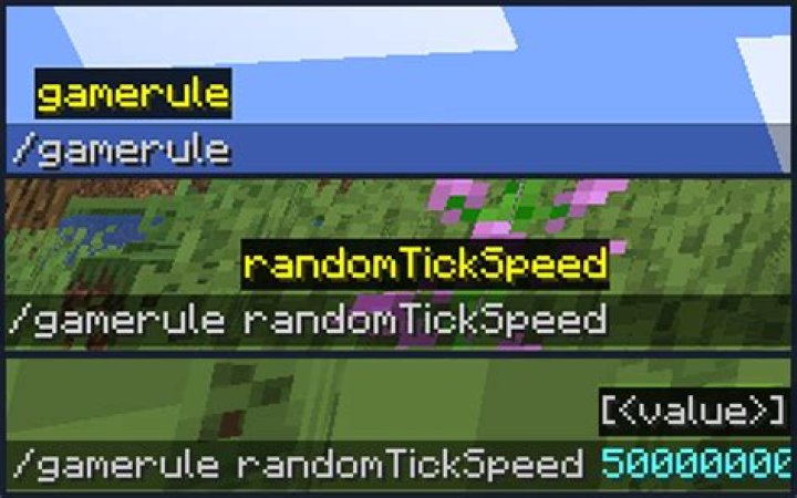 What is the random tick speed in minecraft