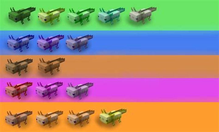 What is the rarest axolotl color in minecraft