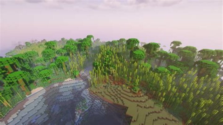 What is the rarest biome in minecraft 2021