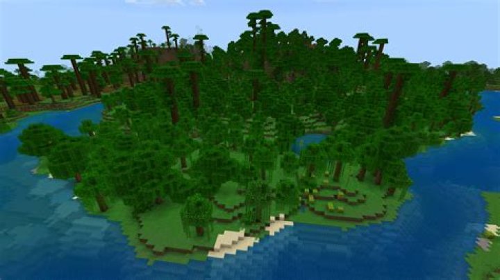 What is the seed for jungle in minecraft