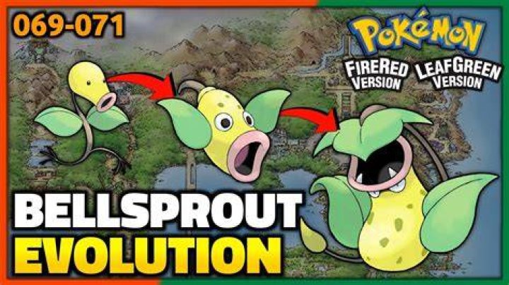 What level does bellsprout evolve in pokemon let’s go eevee