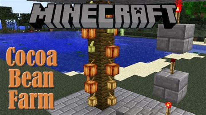 What to do with cocoa beans in minecraft