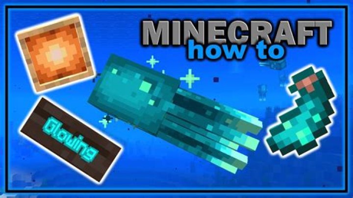 What to do with glow ink sac minecraft