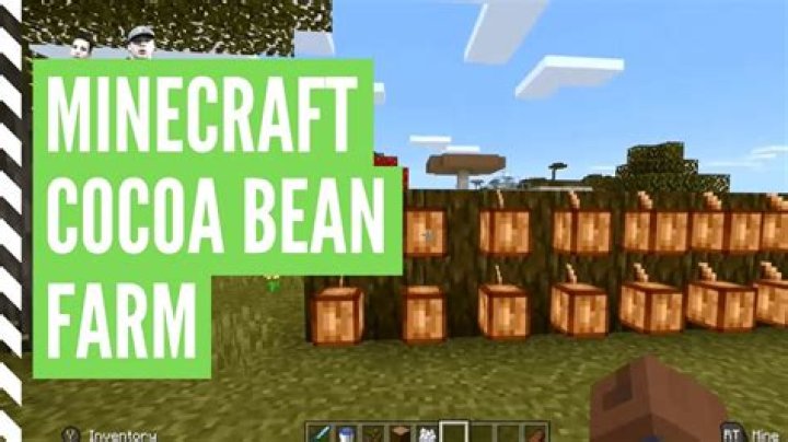 What to make with cocoa beans in minecraft