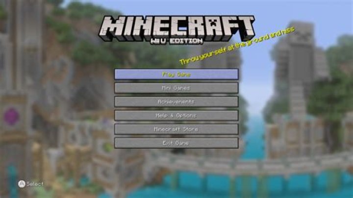 What version is minecraft: wii u edition
