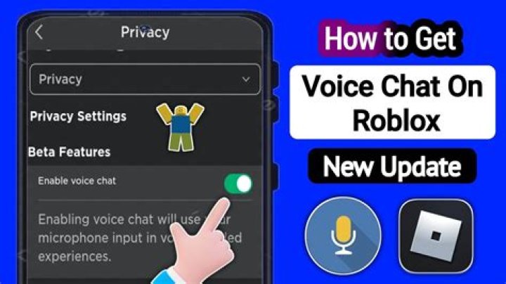 When does roblox get voice chat