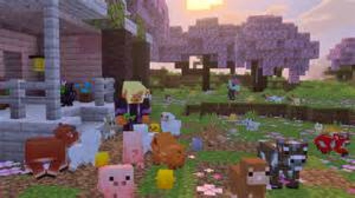 When is the bee update coming out minecraft