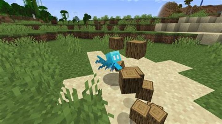 When will the allay be added to minecraft