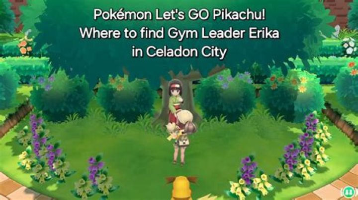 Where are all the gyms in pokemon let’s go pikachu