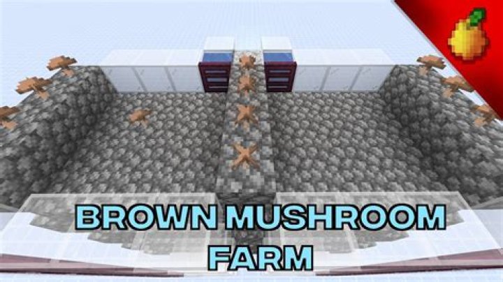 Where can i find brown mushrooms in minecraft