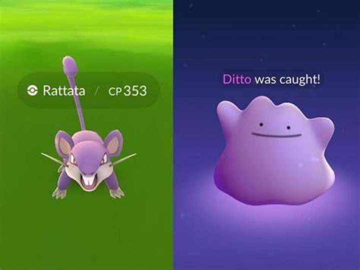 Where can you catch a ditto in pokemon go