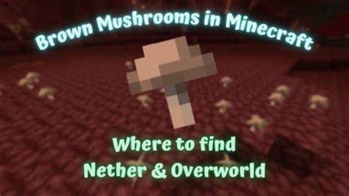 Where can you find brown mushrooms in minecraft