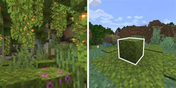 Where can you find moss blocks in minecraft