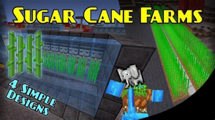 Where can you find sugar cane in minecraft