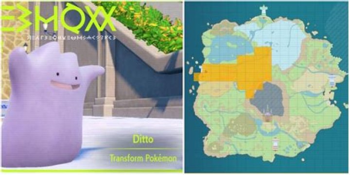 Where do i find a ditto in pokemon go