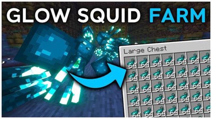 Where do you find glow squid in minecraft