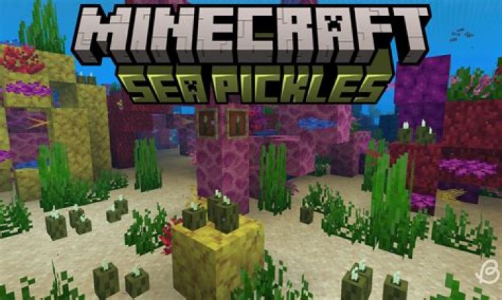 Where do you find sea pickles in minecraft