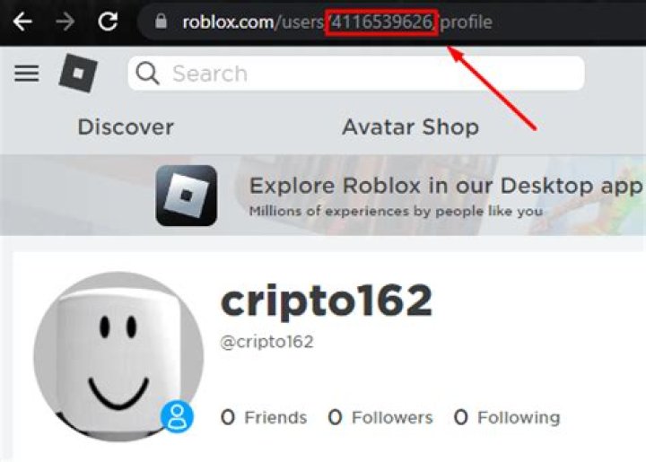 Where is my player id in roblox