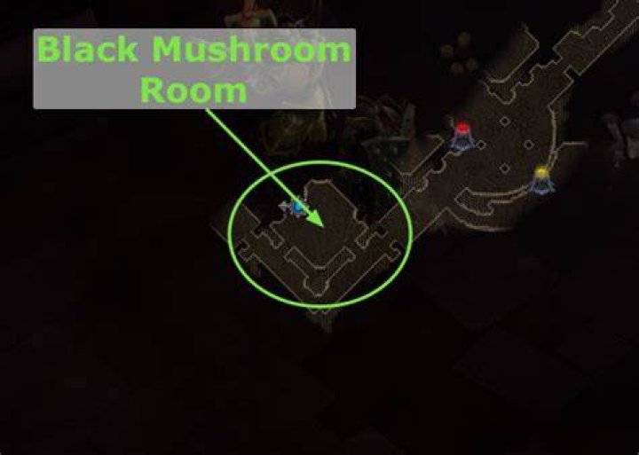 Where is the black mushroom in diablo 3