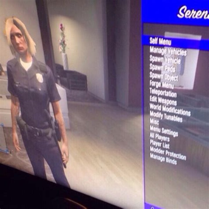 Where to buy gta 5 modded accounts