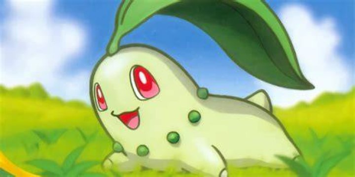Where to find chikorita in pokemon go