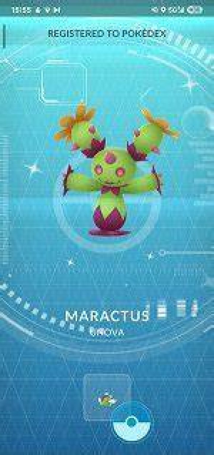 Where to find maractus pokemon go