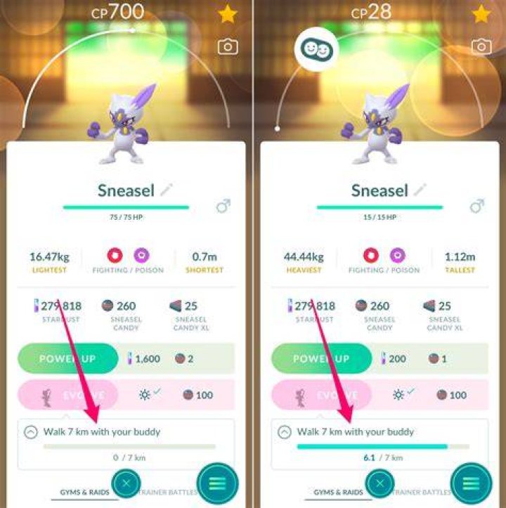 Where to find sneasel in pokemon go
