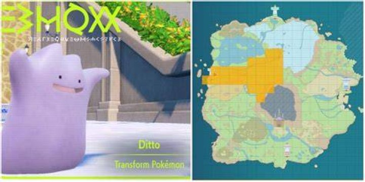 Where to get a ditto in pokemon go
