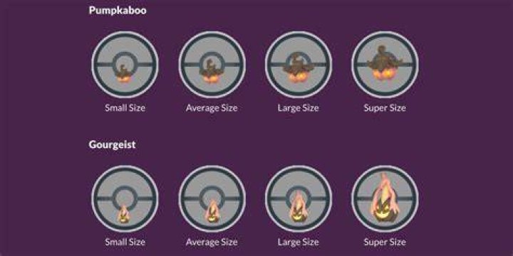 Why are pumpkaboo different sizes pokemon go