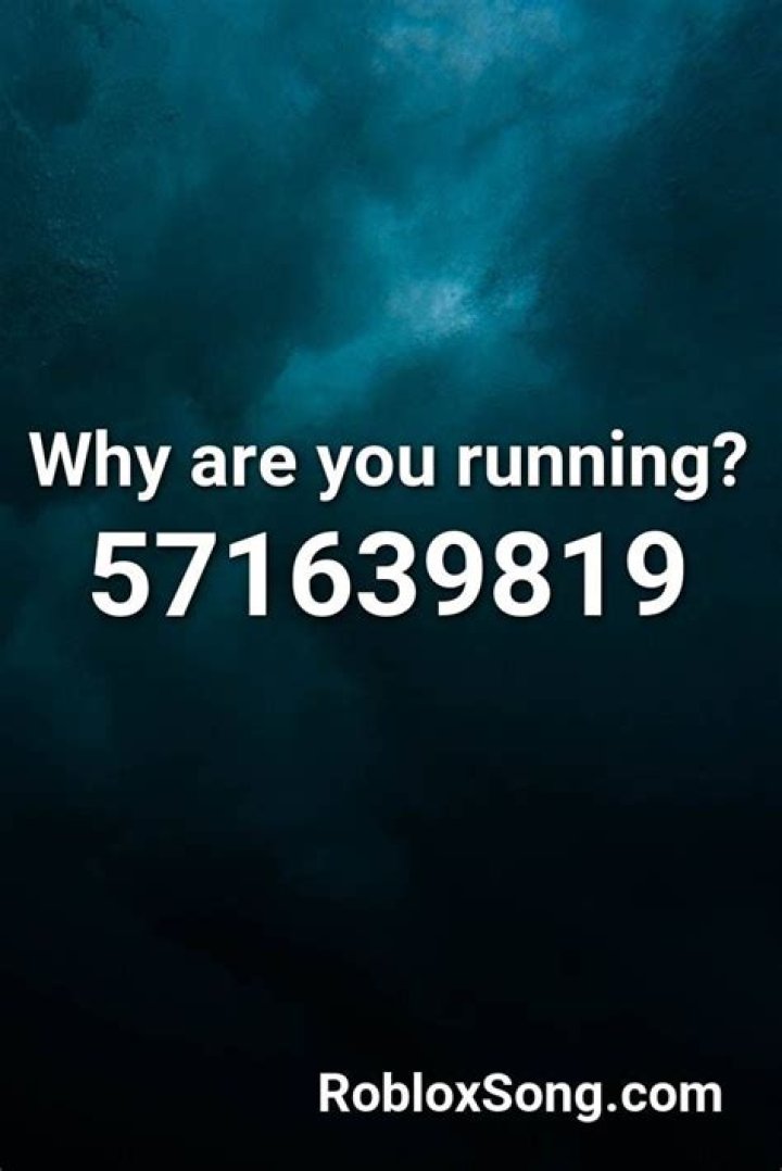Why are you running roblox id