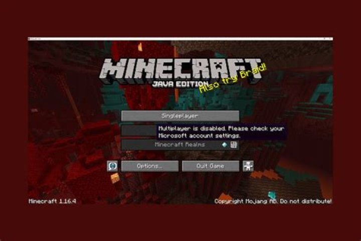 Why does minecraft not let me play multiplayer