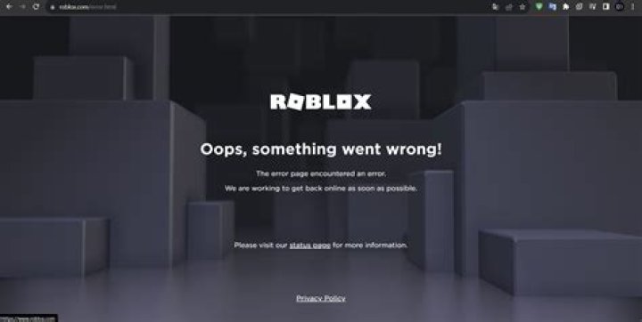 Why does roblox say something went wrong