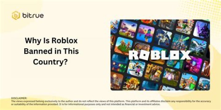 Why is roblox banned