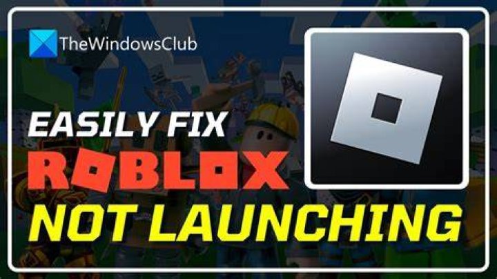 Why wont roblox load